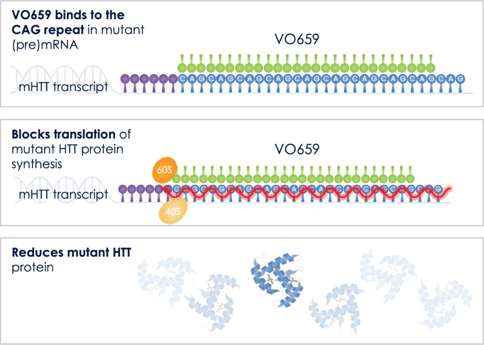Pipeline V0659 Diagram